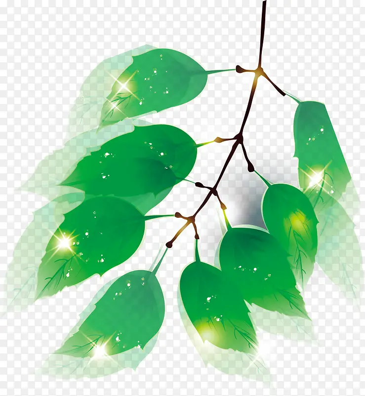 高清创意绿色手绘树叶