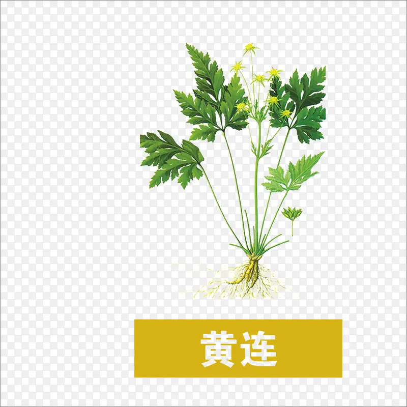 草药