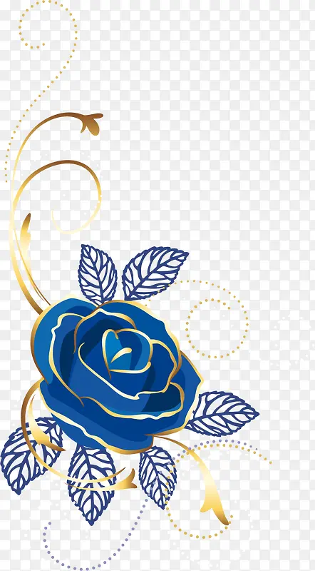 金边蓝玫瑰