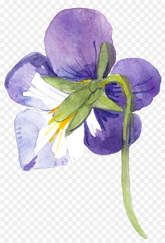 绽放的紫色花朵水墨图