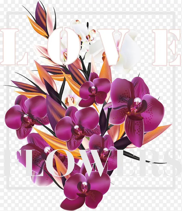 紫色蝴蝶兰爱情海报