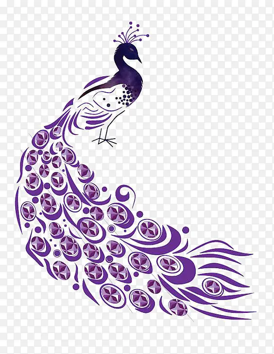 紫色孔雀