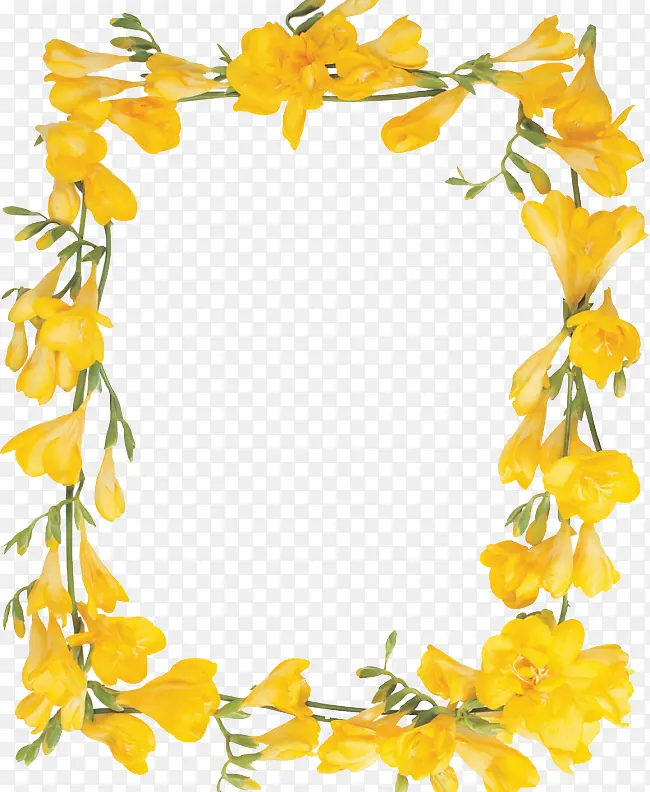 黄色花朵长方形边框