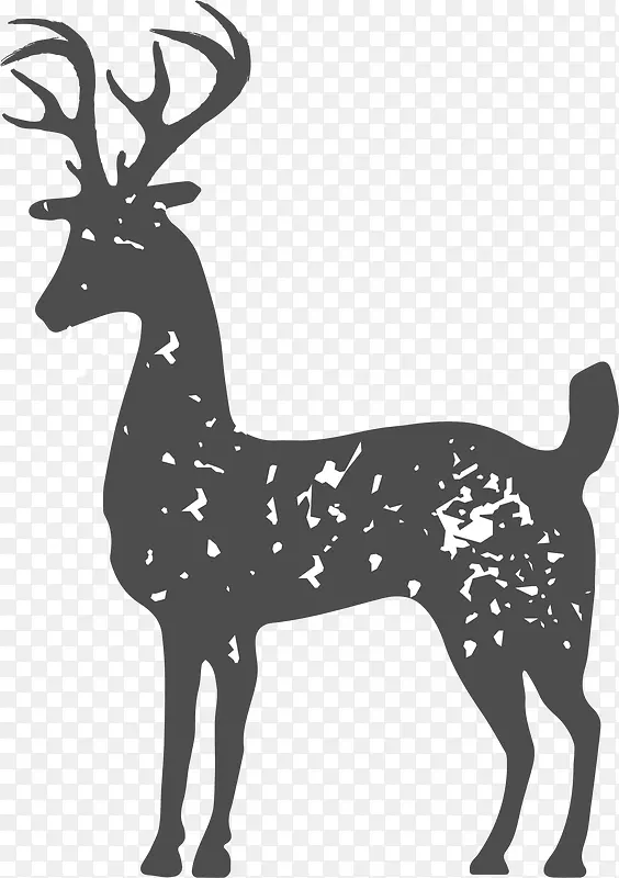 黑色斑斓冬季驯鹿