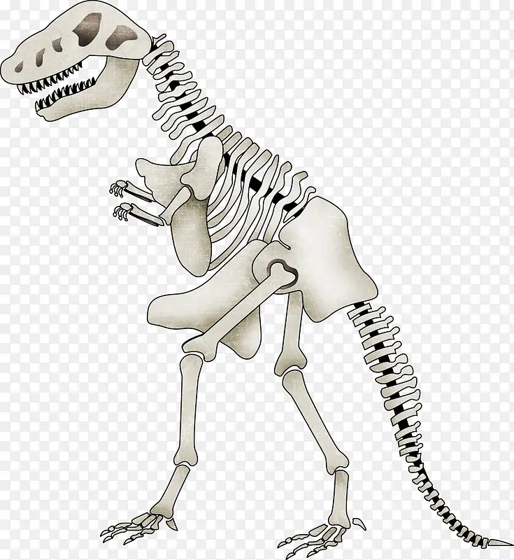 卡通恐龙骨架