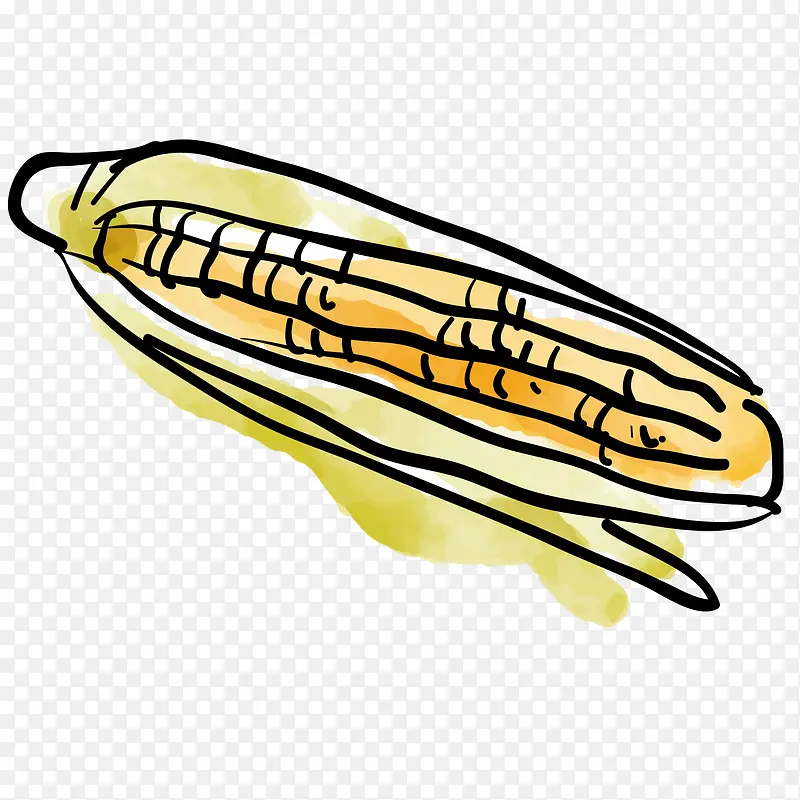水彩手绘彩绘玉米