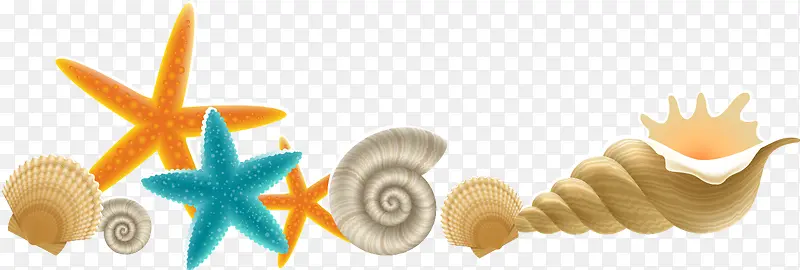 海螺 扇贝 海星 贝壳