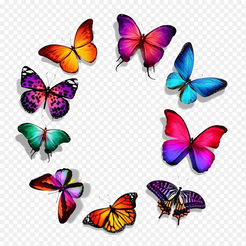 蝴蝶系列 - 围成一圈的美丽蝴蝶