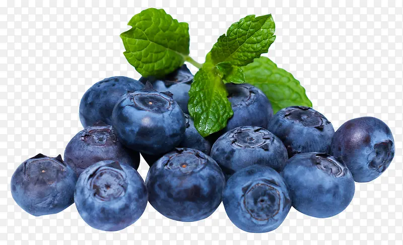 蓝莓食物