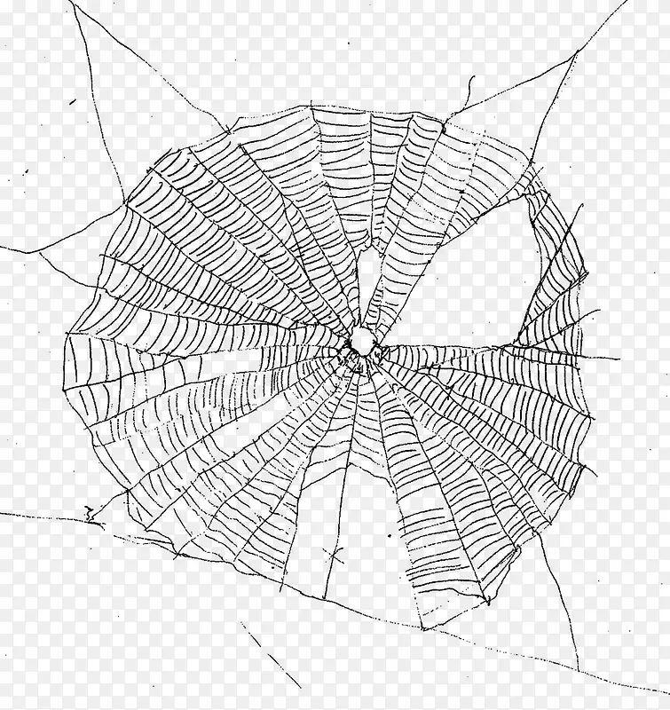 网状手绘蜘蛛网图片