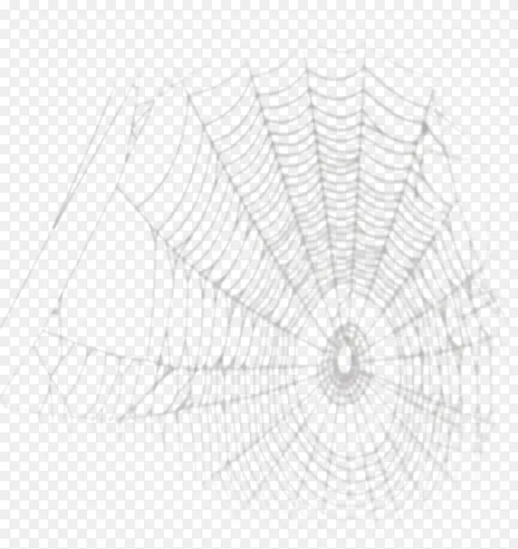 卡通蜘蛛网素材手绘