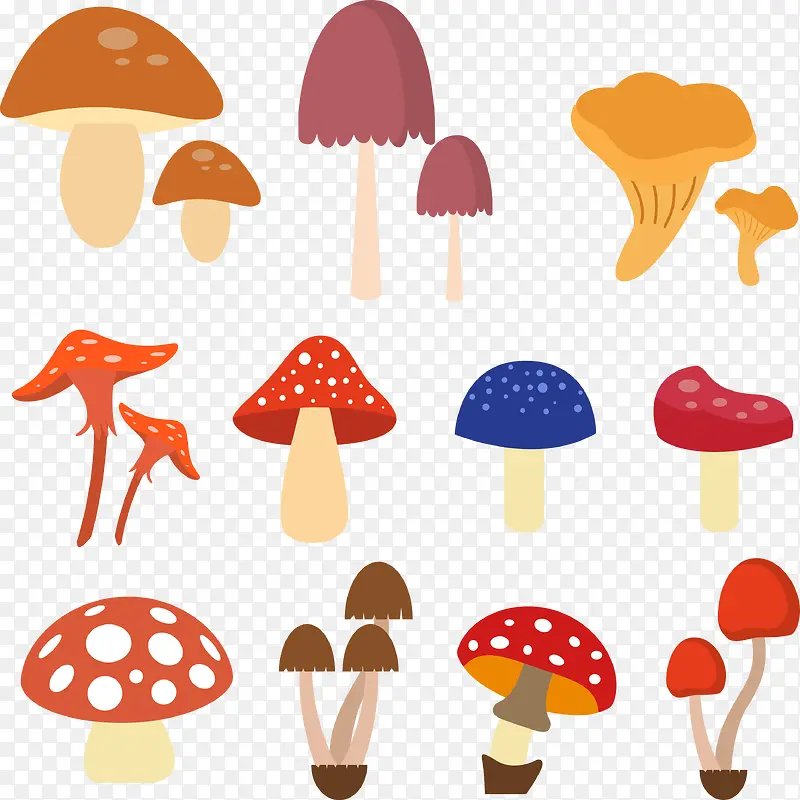 特色蘑菇