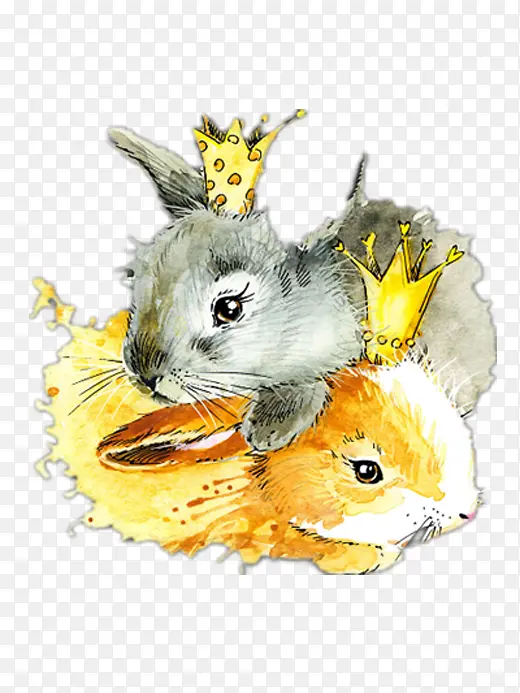 带皇冠的手绘兔子