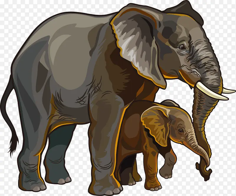 矢量大象和小象