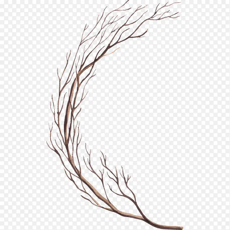 手绘水彩树枝