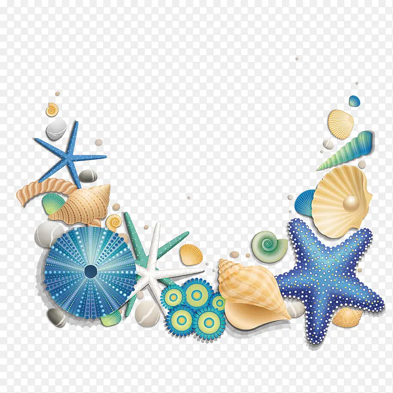 蓝色海星和贝壳