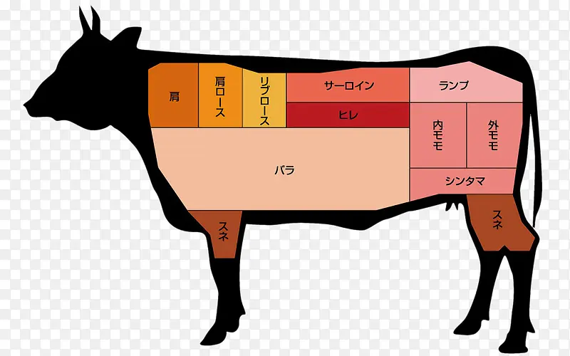 日语版牛部位名称