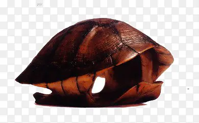 乌龟壳