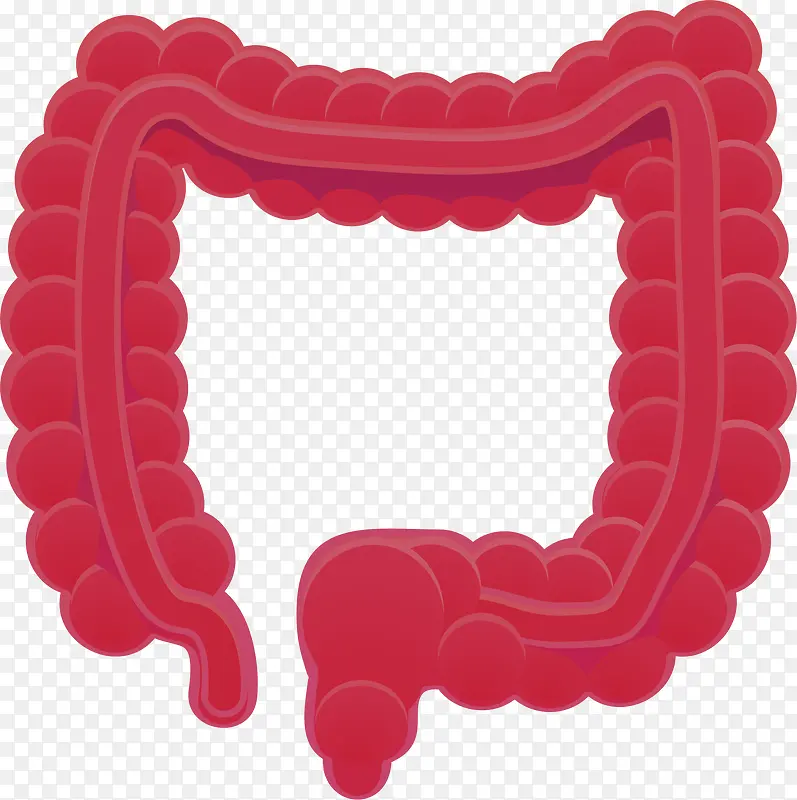 人体的肠胃器官卡通