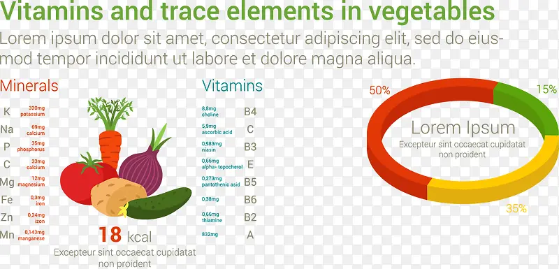 蔬菜维生素和微量元素矢量分析