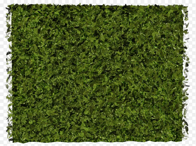 绿色地毯草坪素材装饰