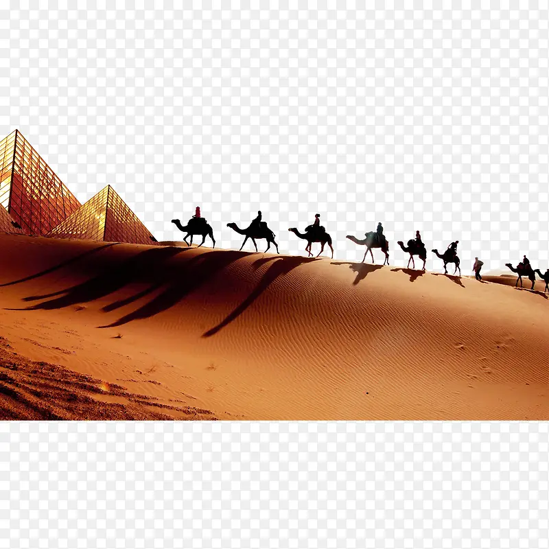 金字塔沙漠骆驼免抠图