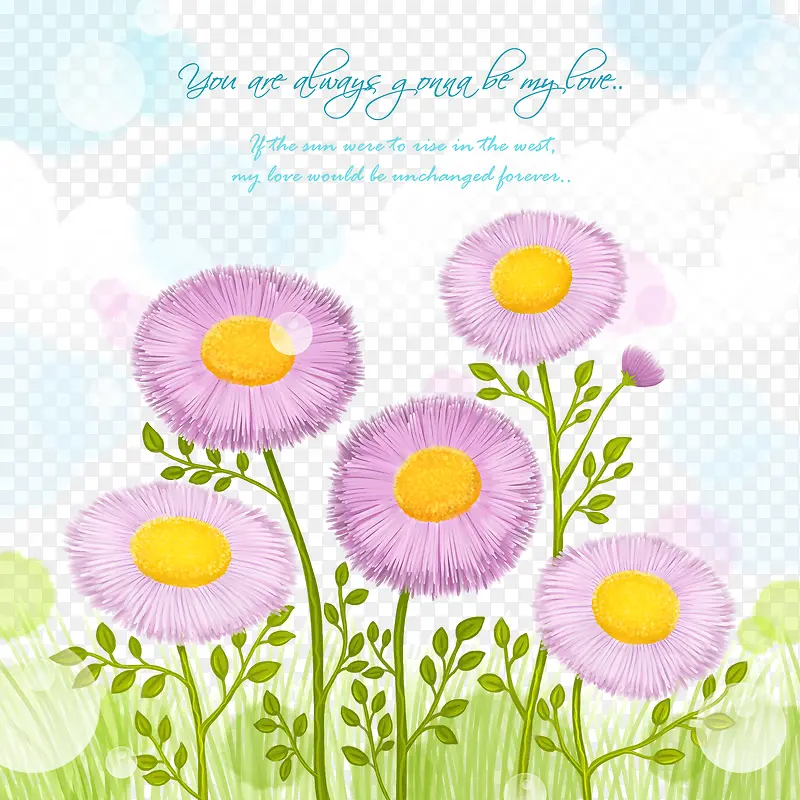 卡片背景素材太阳菊