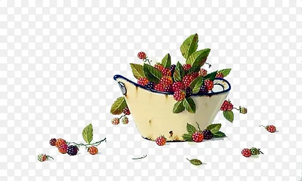 一盆树莓