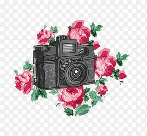 花朵与相机