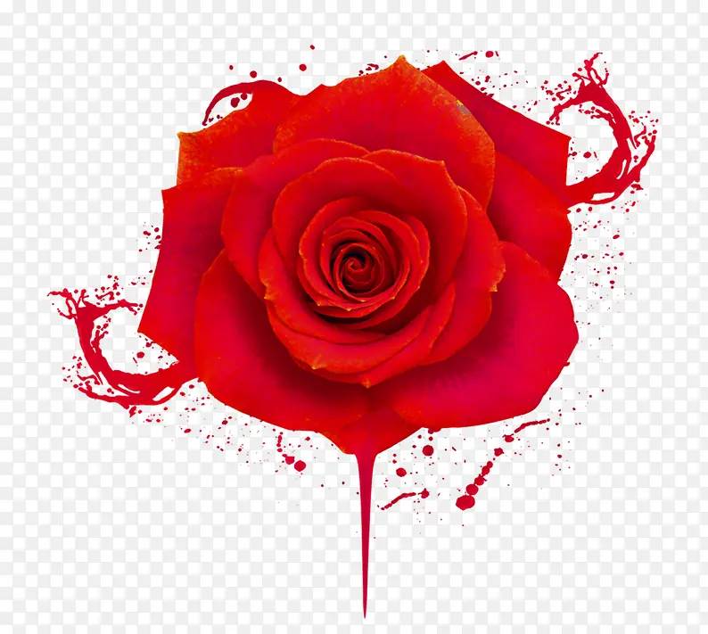 水墨红色玫瑰