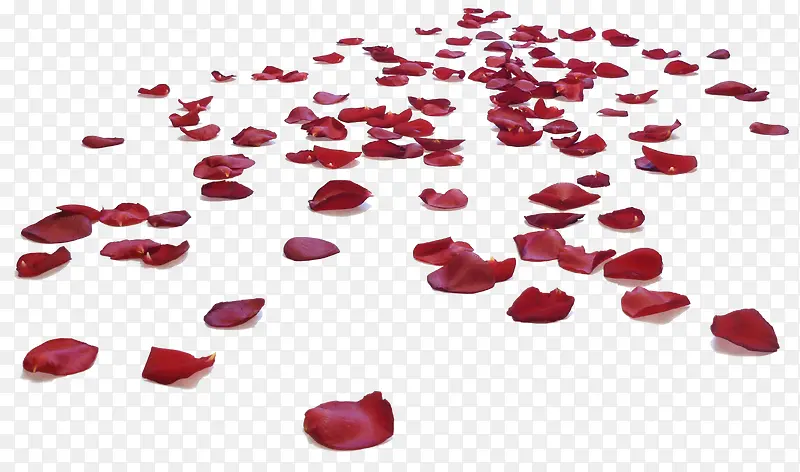 铺满红色玫瑰花瓣