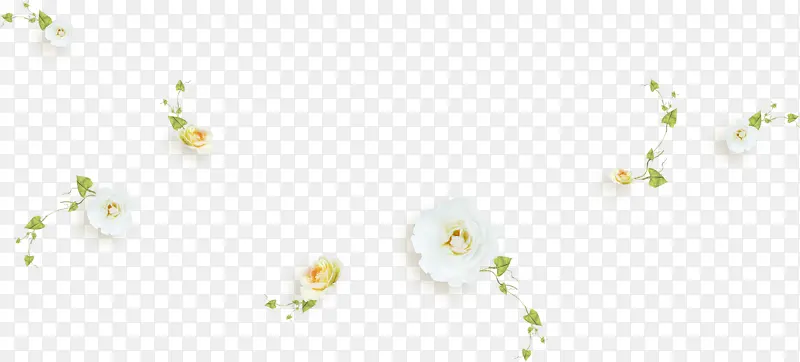 漂浮的白色花朵