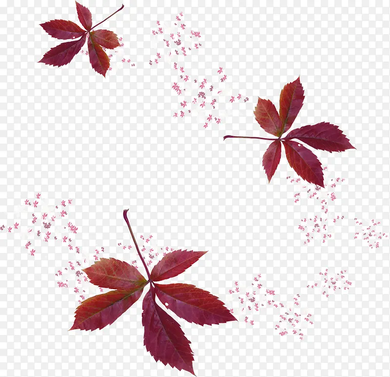 漂浮红色枝叶