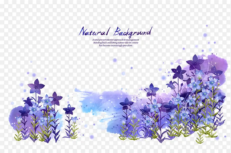 紫色花朵免费下载 PSD分层素材