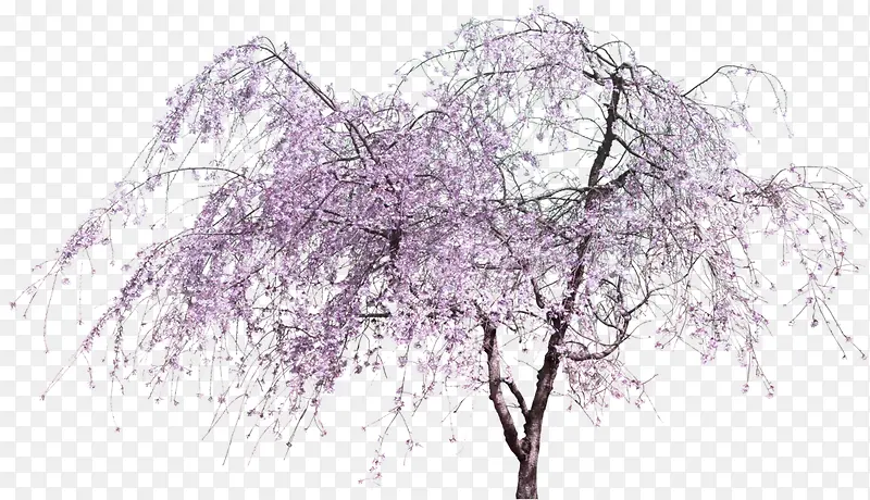 紫色清新花树装饰图案