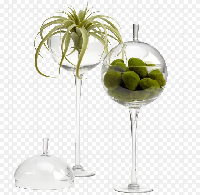 中式玻璃圆球植物微景观摆件