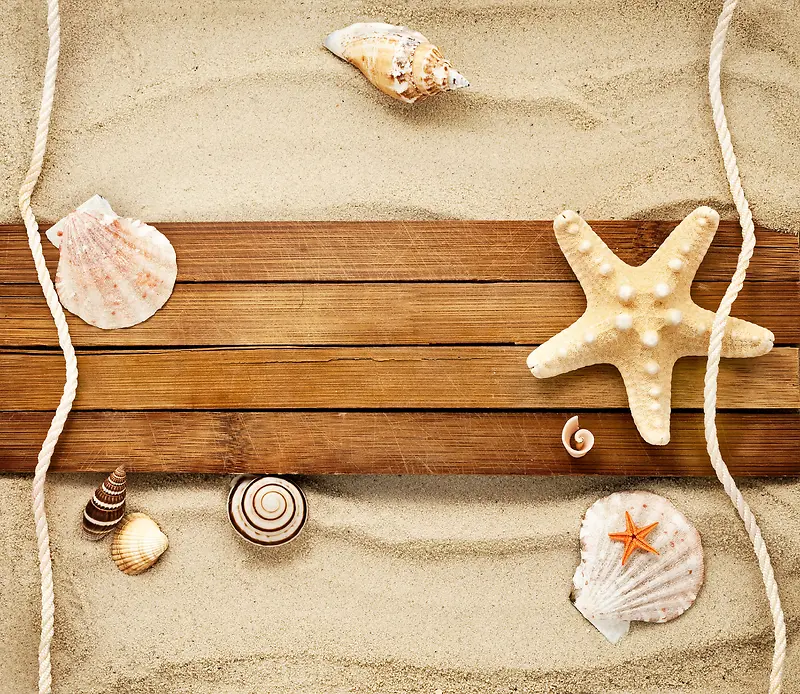 海星贝壳与沙滩木板背景