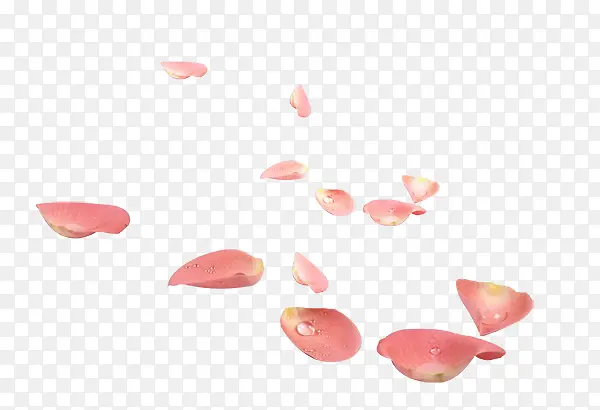 粉红水珠花瓣装饰漂浮