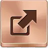 出口bronze-button-icons