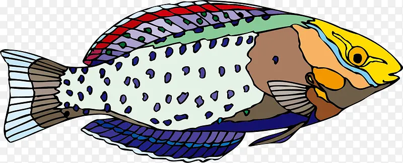 生物世界 鱼