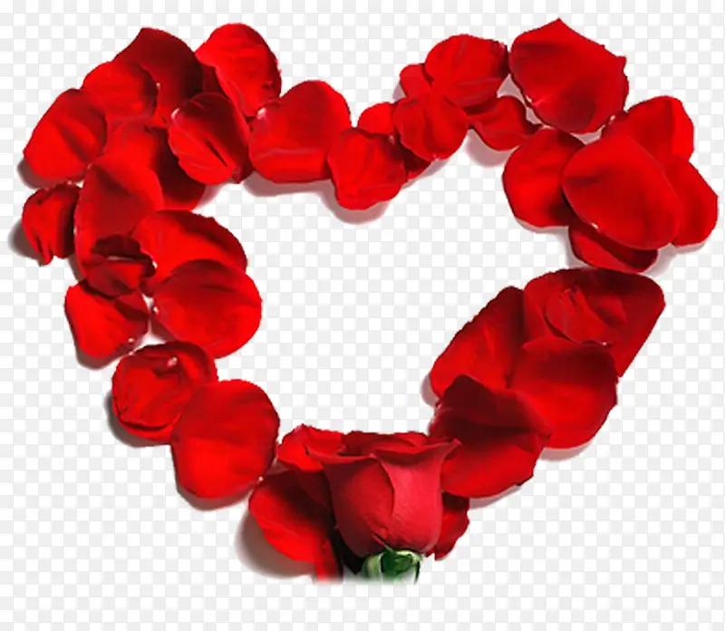 大红色玫瑰花爱心边框