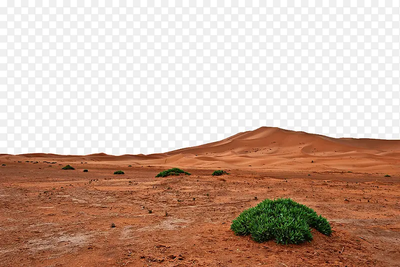 撒哈拉沙漠景点