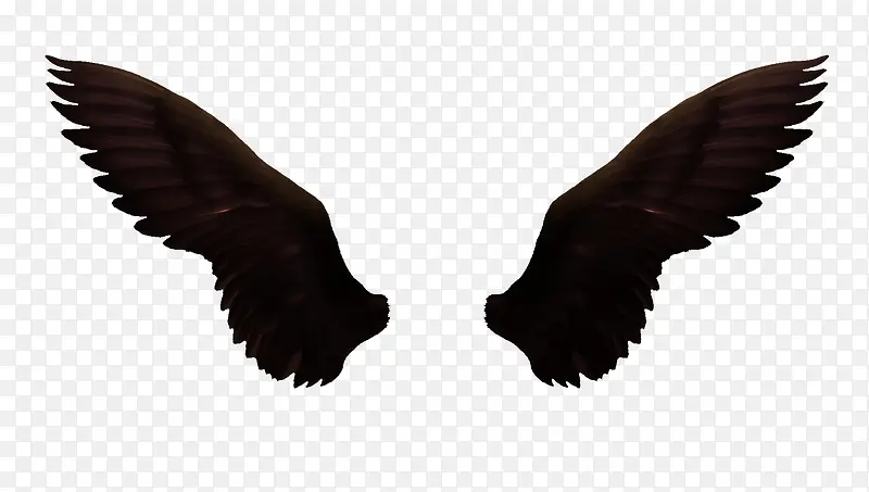 暗黑翅膀