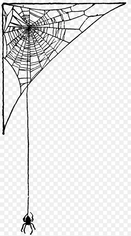 手绘蜘蛛网图案 蜘蛛网和蜘蛛