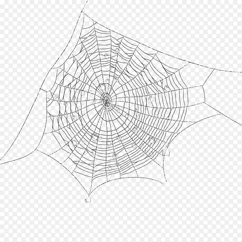 蜘蛛网图案装饰