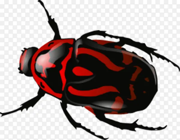 红色斑纹甲壳虫