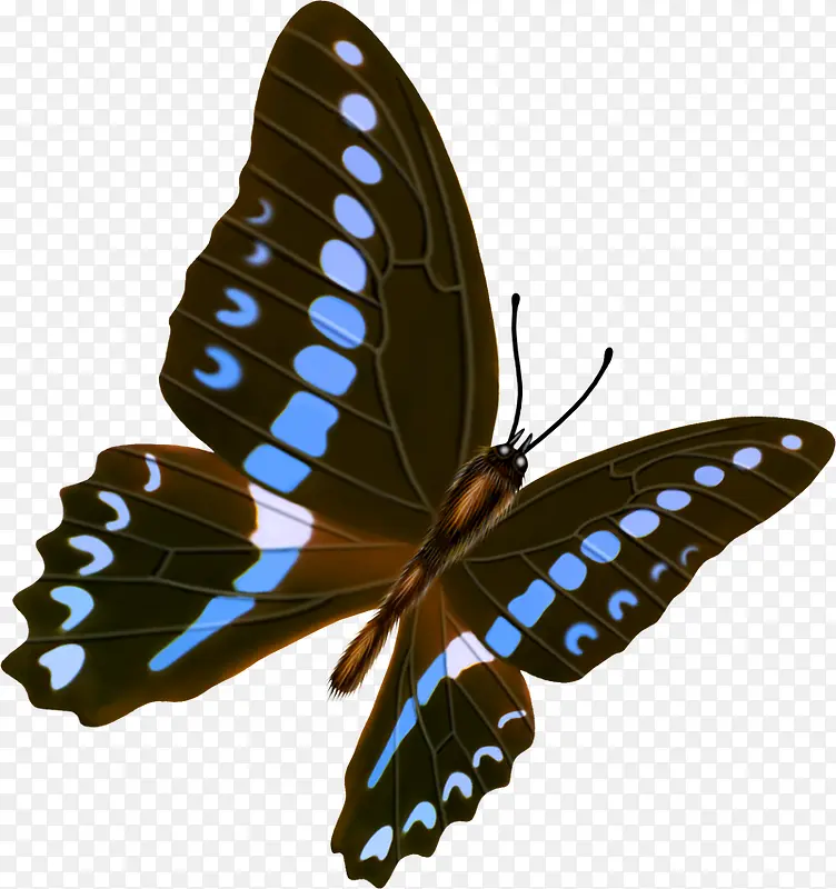蓝色斑点光效蝴蝶