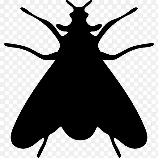 蛾类昆虫的形状图标