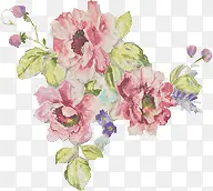 彩绘牡丹花粉红花朵花丛