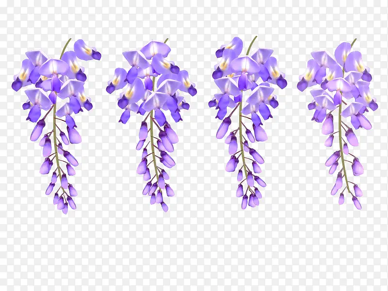 紫色植物花朵图案